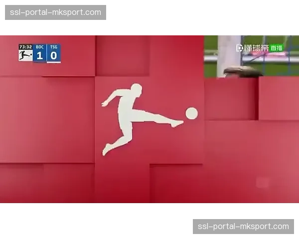 动态：霍芬海姆公布对阵波鸿的首发，阵型微调旨在加强前场压迫